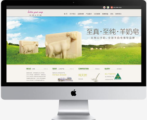 傲來網絡 一站式數字營銷解決方案，驅動品牌增長新引擎