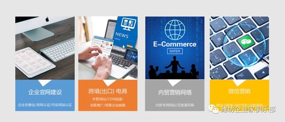 王翠萍 以網絡營銷策劃驅動企業增長，濰坊企業家俱樂部的創新先鋒